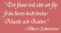 Det finns tv&aring; s&auml;tt at fly fr&aring;n livets bedr&ouml;velse, Musik och katter - Albert Szhweitzer